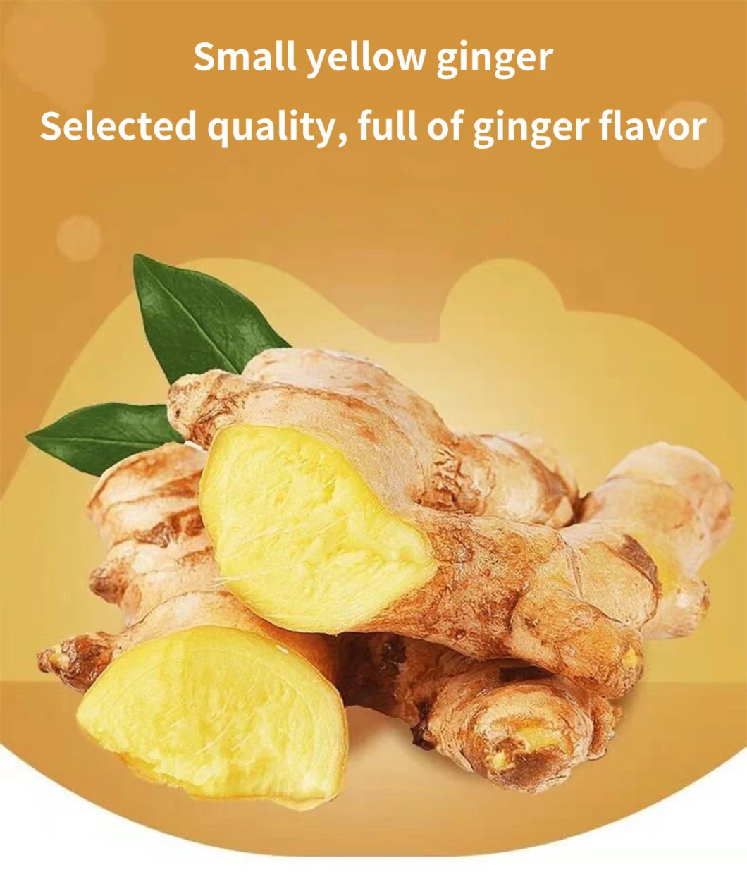 Ginger High Quality Dried Ginger New Crop Wholesale Cheap Price Carton Trade Assurance Dried Ginger Organic Ginger Sliced Pickled Ginger