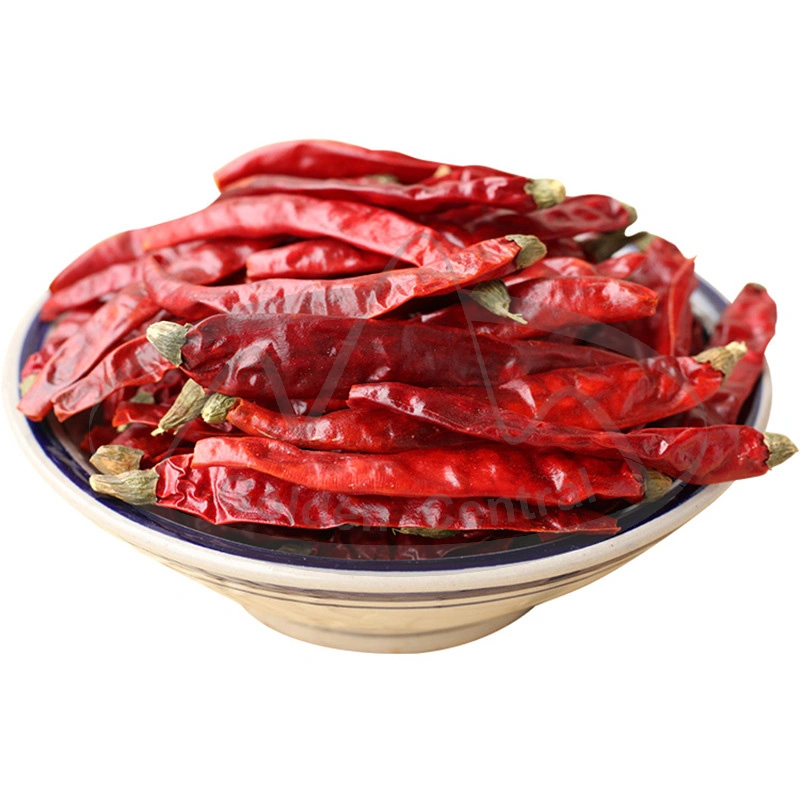 Factory Spice Supplier Wholesale Dried Red Chili Pepper Dried Chilies Dry Red Chilli Pepper