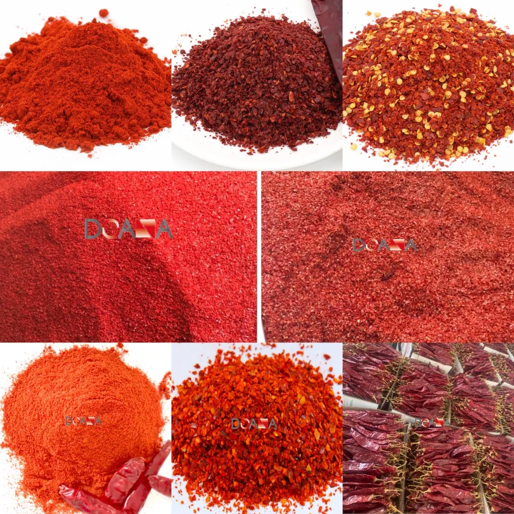 Dried Sweet Chili Powder Exporter High Quality Red Paprika Powder