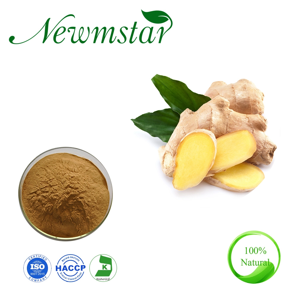 Ginger Root Extract Powder with 5% Gingerol