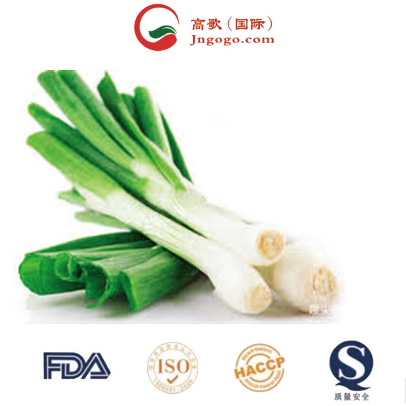 Top Quality Dehydrated Chive Powder Green Onion Spring Onion Shallot Flakes