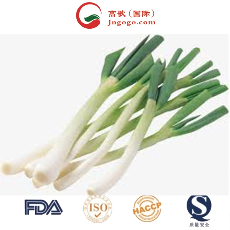 Top Quality Dehydrated Chive Powder Green Onion Spring Onion Shallot Flakes