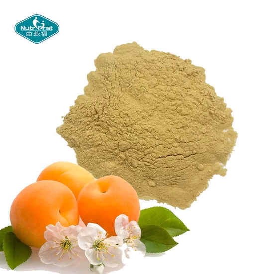 순수한 공기 건조 탈수 마늘 분말 80-100-120 메쉬 느슨한 포장