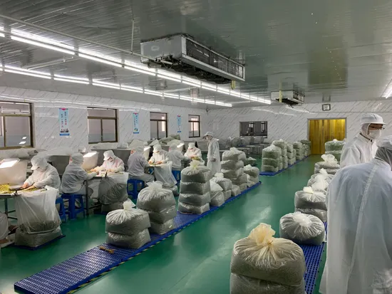 요리에 가장 적합한 가격으로 새로운 수확 흰 마늘 과립