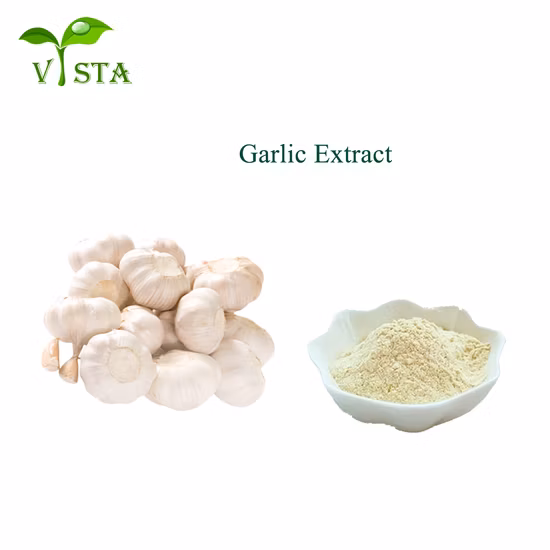 최고의 알리신 분말 마늘 추출물 도매